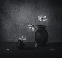Nature morte florale fanée