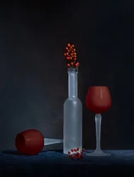 Baies en verre dépoli