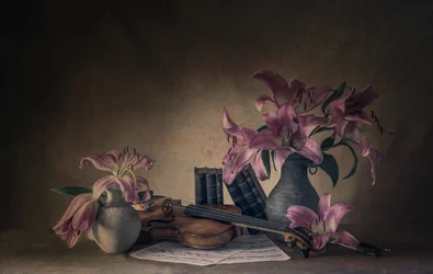 Lys et violon mélancoliques