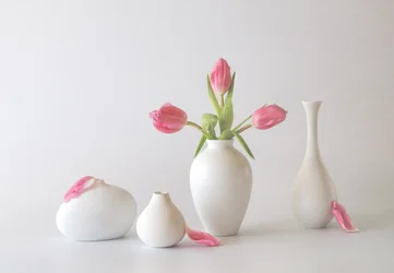 Tulipes roses dans des vases
