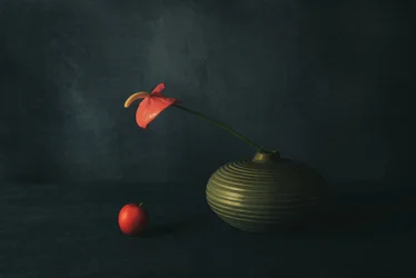Nature morte avec anthurium rouge
