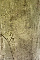 (détail)
