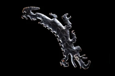 Silex Excentrique Dépeignant un Canoë Crocodile avec des Passagers, c.A.D. 600?-900