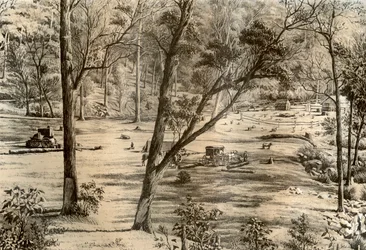 Cabane de sélectionneur libre, Australie, 1879