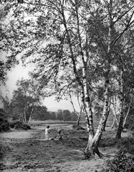 Putney Heath, Londres, 1926-1927