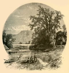 Les prés de Northampton, 1874