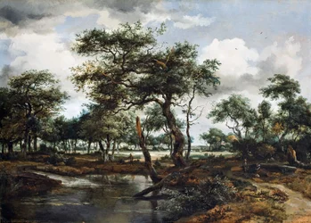 Un étang dans la forêt, 1668