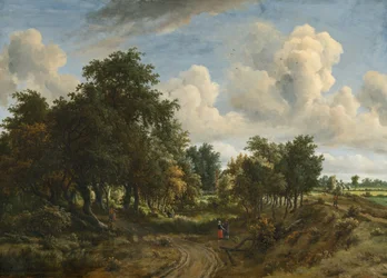 Un paysage boisé
