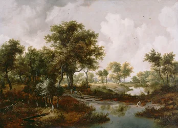 Un paysage boisé