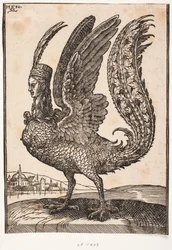 Animal mythique non identifié, harpie ou sirène