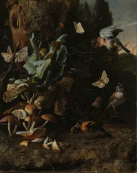 Animaux et plantes