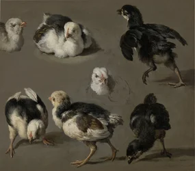 Sept poussins