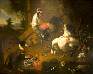 Un coq avec une poule et trois canards