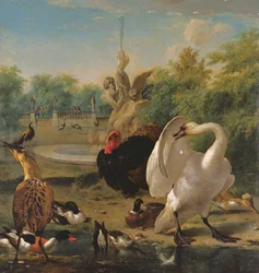 Un parc avec cygne et autres oiseaux
