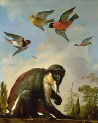 Singe enchaîné dans un paysage