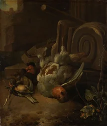 Oiseaux morts