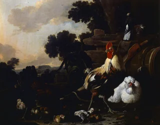 Poulailler, seconde moitié du XVIIe siècle, par Melchior d
