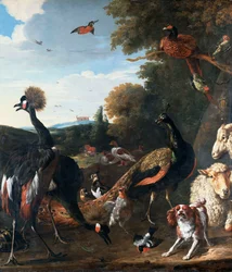 Paons et autres oiseaux, avec un mouton et un chien dans un paysage