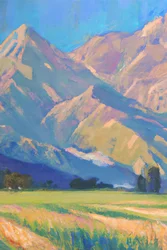 Une vallée de montagne pleine de vie