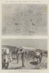 La Guerre du Transvaal, Scènes au Front