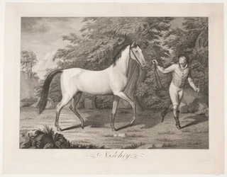 Le cheval "Hesten Nischty"