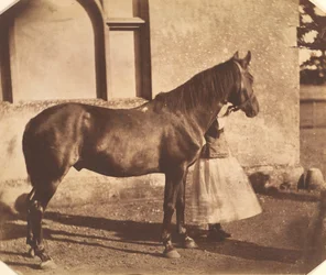 Sultan, milieu des années 1850
