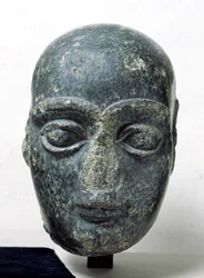 Tête d