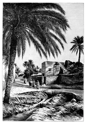 Une rue à Biskra, Algérie, 1895