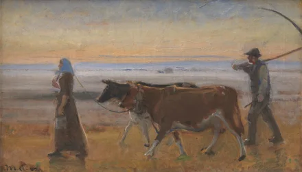 Vaches traversant la lande