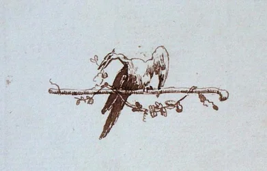 Dessin du carnet de croquis de Michael Faraday