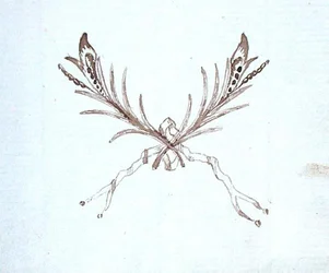 Dessin du scrapbook de Michael Faraday