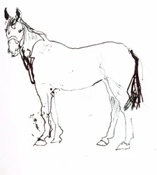 Sans titre, 2018