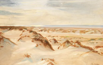 Dunes, Skagen.