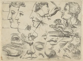 Feuille d