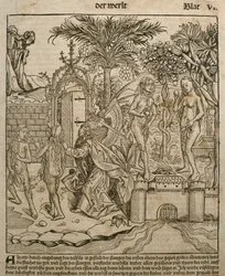 Adam et Ève, illustration du 