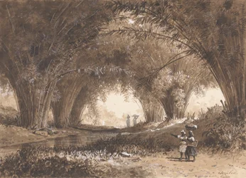 Arches de bambou, St. Anns