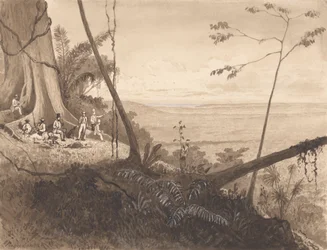 Cedar Point, Mont Tamana