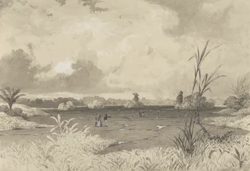 Le lac de bitume