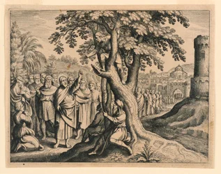Zachée le publicain