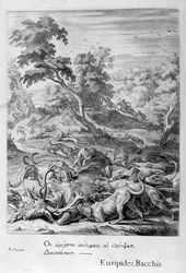 Actéon transformé en cerf et dévoré par ses chiens, 1655
