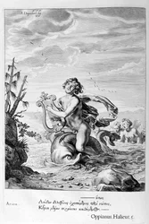 Arion sauvé par un dauphin, 1655