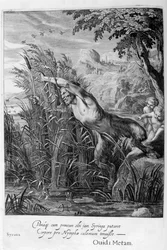 Pan poursuit Syrinx qui est transformée en roseau, 1665