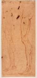 Étude de jambe