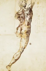 Nu masculin vu de dos, étude pour la Bataille de Cascina, par Michelangelo (1475-1564), dessin.