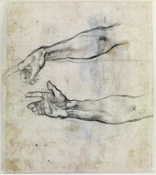 "Détail du bras