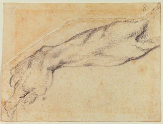 Étude de bras pour une figure de la Chapelle Sixtine