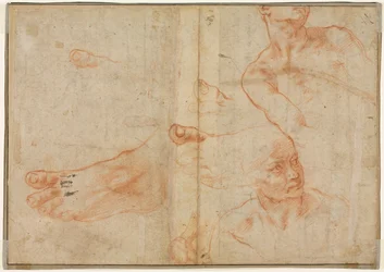 Études de figures pour le plafond de la chapelle Sixtine