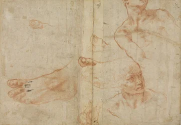 Études de figures pour le plafond de la chapelle Sixtine