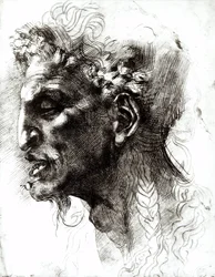 Tête d