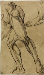 Jambes et pieds de nu masculin